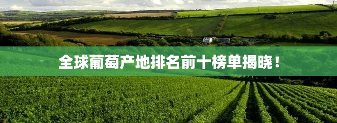 全球葡萄产地排名前十榜单揭晓!
