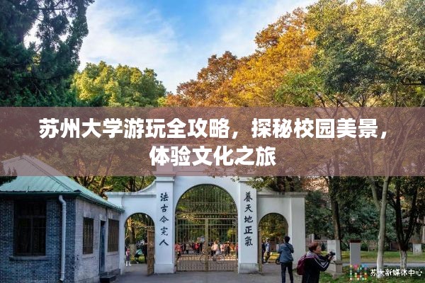 苏州大学游玩全攻略,探秘校园美景,体验文化之旅