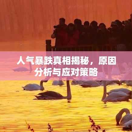 人气暴跌真相揭秘,原因分析与应对策略