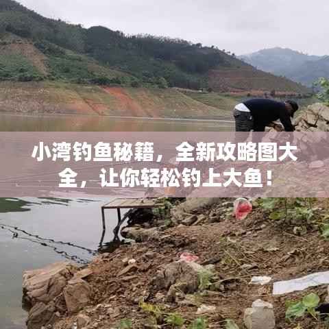 小湾钓鱼秘籍,全新攻略图大全,让你轻松钓上大鱼!
