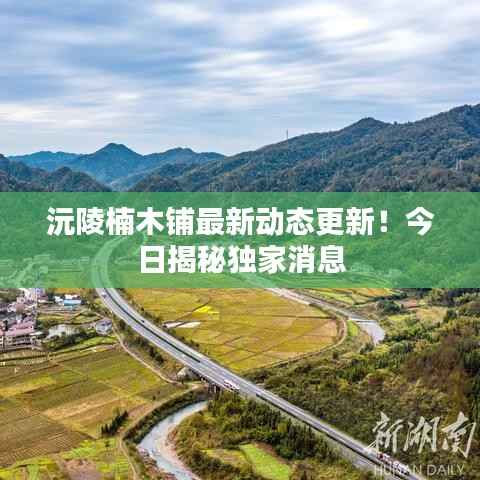 沅陵楠木铺最新动态更新！今日揭秘独家消息