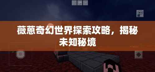 薇蒽奇幻世界探索攻略,揭秘未知秘境