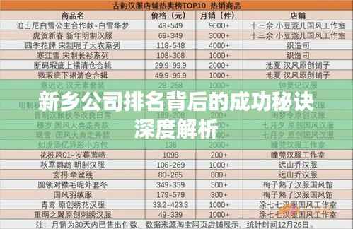新乡公司排名背后的成功秘诀深度解析