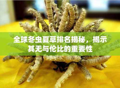 全球冬虫夏草排名揭秘,揭示其无与伦比的重要性