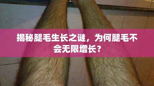 揭秘腿毛生长之谜,为何腿毛不会无限增长?