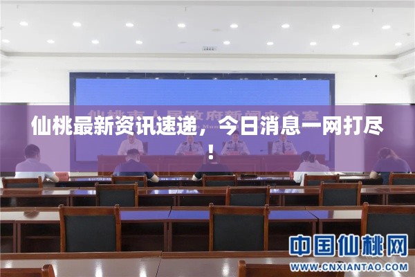 仙桃最新资讯速递,今日消息一网打尽!