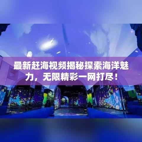 最新赶海视频揭秘探索海洋魅力，无限精彩一网打尽！