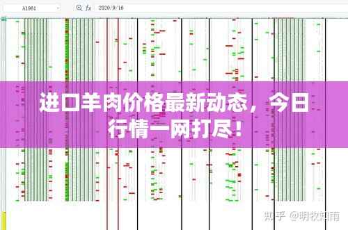 进口羊肉价格最新动态,今日行情一网打尽!