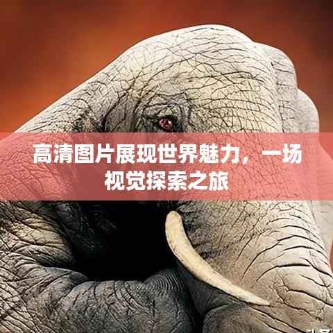 高清图片展现世界魅力,一场视觉探索之旅