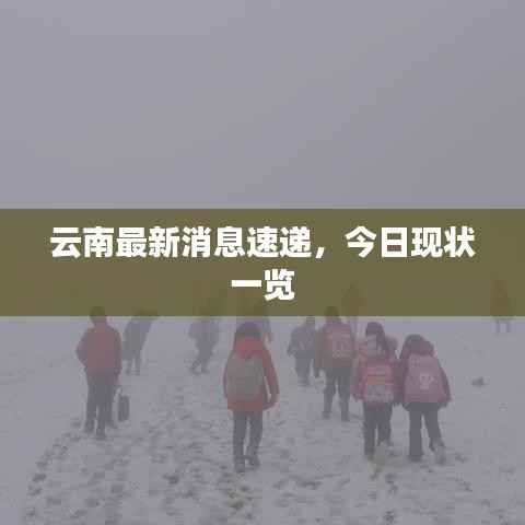 云南最新消息速递,今日现状一览