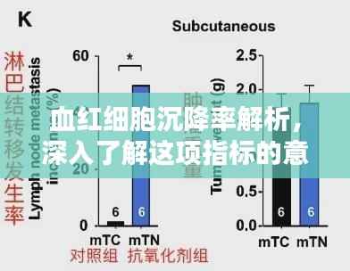 血红细胞沉降率解析,深入了解这项指标的意义与影响