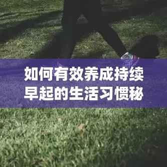 如何有效养成持续早起的生活习惯秘籍