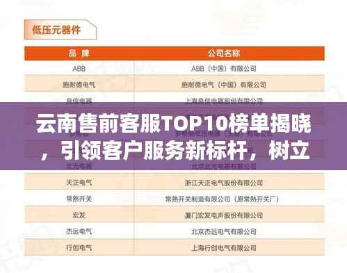 云南售前客服TOP10榜单揭晓,引领客户服务新标杆,树立行业典范!