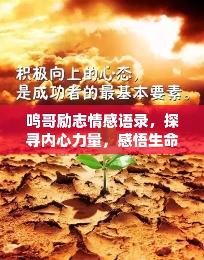 鸣哥励志情感语录,探寻内心力量,感悟生命真谛