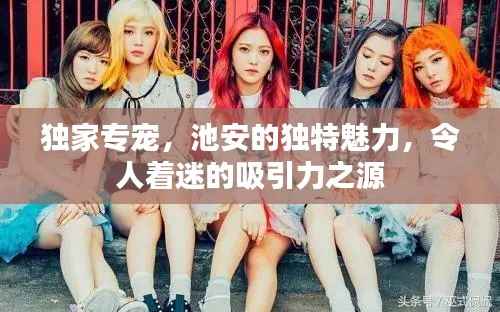 独家专宠,池安的独特魅力,令人着迷的吸引力之源