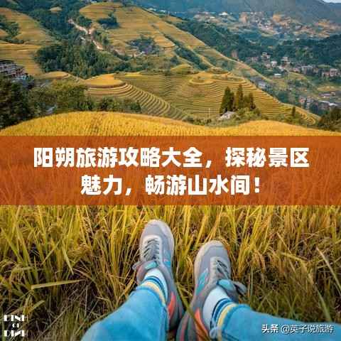 阳朔旅游攻略大全,探秘景区魅力,畅游山水间!