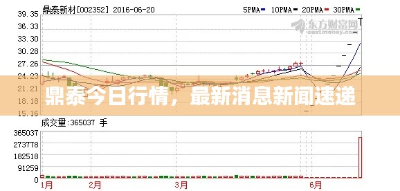 鼎泰今日行情,最新消息新闻速递