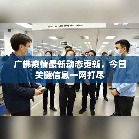 广佛疫情最新动态更新，今日关键信息一网打尽