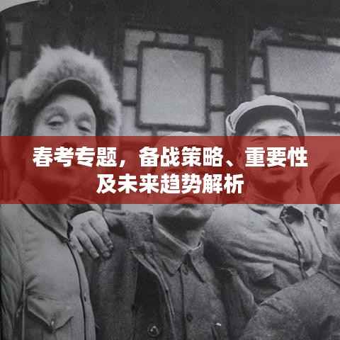 春考专题,备战策略、重要性及未来趋势解析