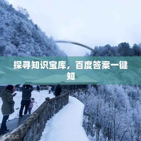 探寻知识宝库,百度答案一键知