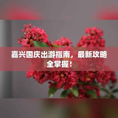 嘉兴国庆出游指南,最新攻略全掌握!