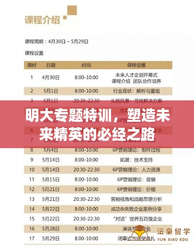 明大专题特训,塑造未来精英的必经之路