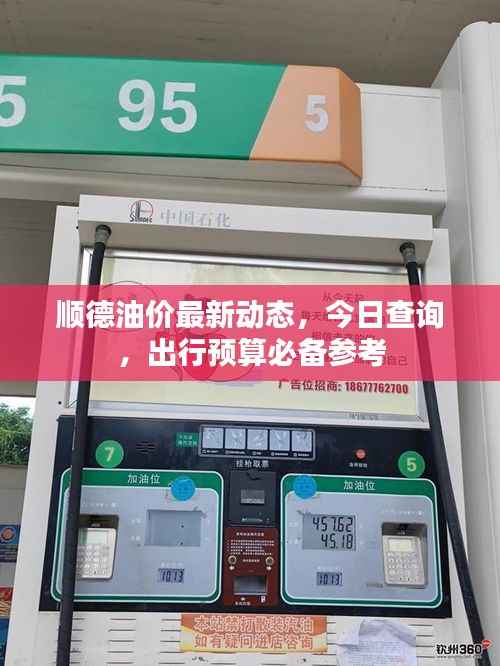 顺德油价最新动态,今日查询,出行预算必备参考