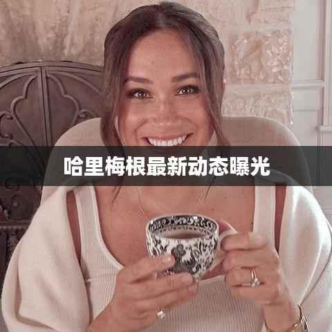 哈里梅根最新动态曝光