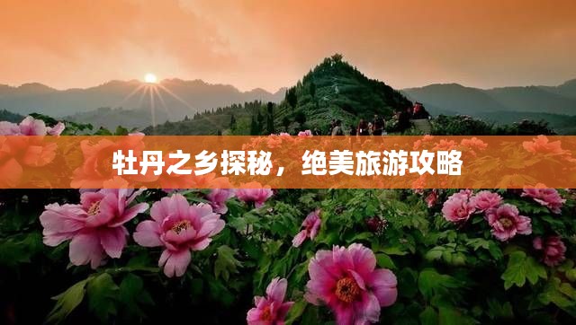 牡丹之乡探秘,绝美旅游攻略