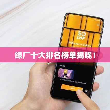 绿厂十大排名榜单揭晓!