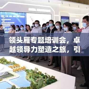 领头雁专题培训会,卓越领导力塑造之旅,引领未来成就非凡