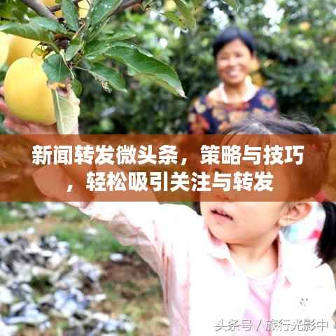 新闻转发微头条，策略与技巧，轻松吸引关注与转发