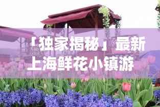 「独家揭秘」最新上海鲜花小镇游玩攻略,让你畅游花海世界!