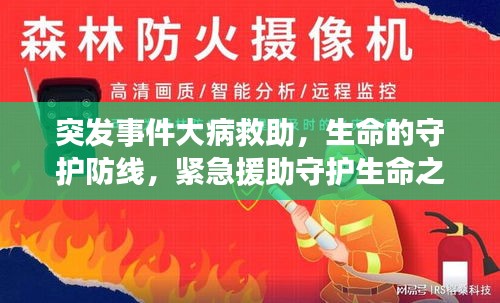 突发事件大病救助,生命的守护防线,紧急援助守护生命之光
