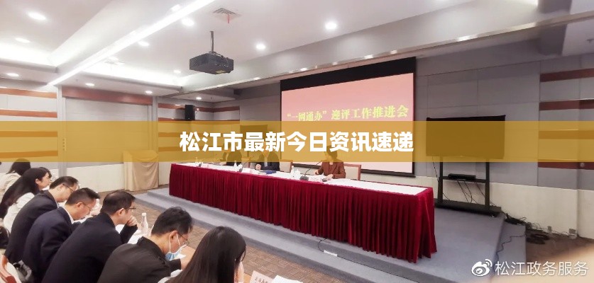 松江市最新今日资讯速递