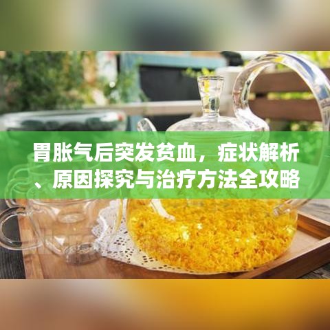 胃胀气后突发贫血,症状解析、原因探究与治疗方法全攻略