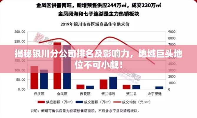 揭秘银川分公司排名及影响力，地域巨头地位不可小觑！