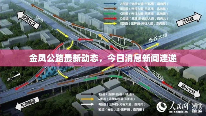金凤公路最新动态,今日消息新闻速递
