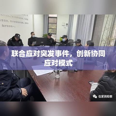 联合应对突发事件，创新协同应对模式