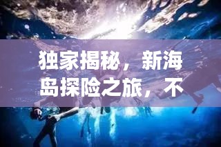独家揭秘,新海岛探险之旅,不容错过的神秘体验!