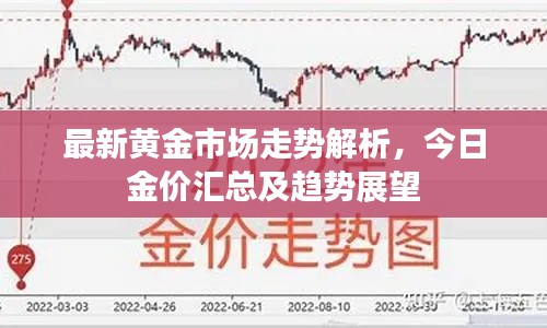 最新黄金市场走势解析，今日金价汇总及趋势展望