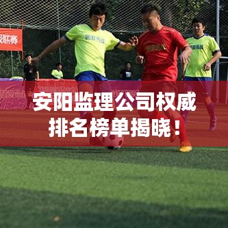 安阳监理公司权威排名榜单揭晓!