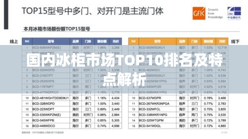 国内冰柜市场TOP10排名及特点解析